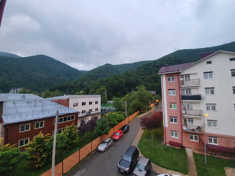 Go на гору эстонская ул 65 фото Квартира с видом на горы на ул. Эстонская 37 - Flats for Rent in Estosadok, Kras