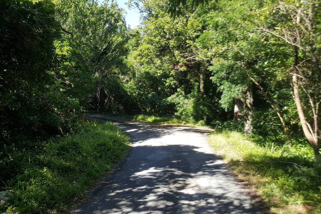 The driveway
