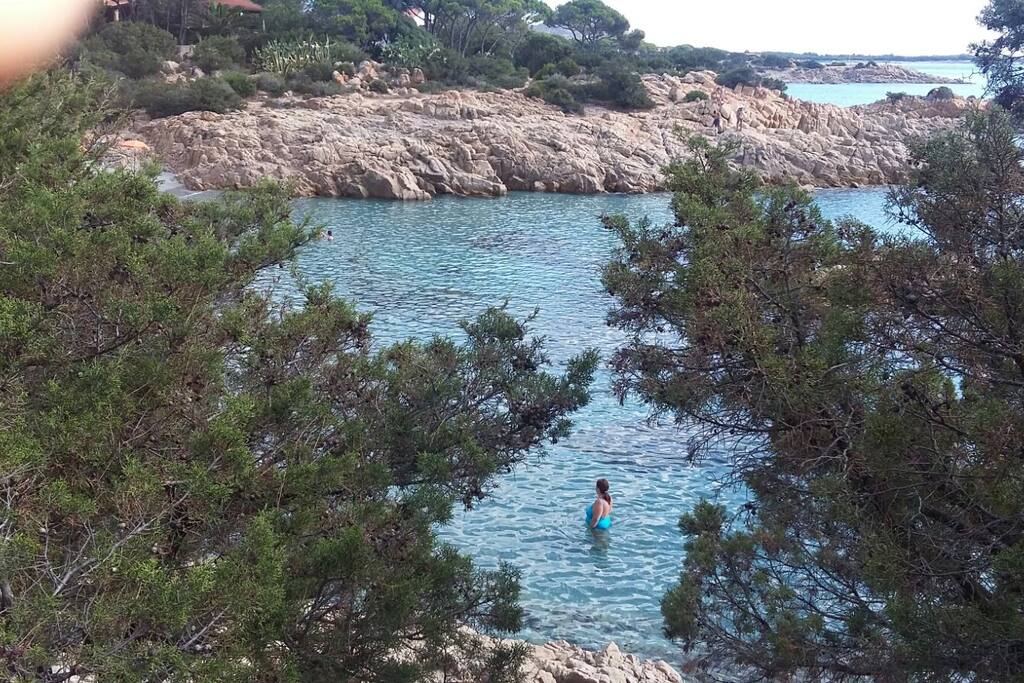 Particolare Caletta