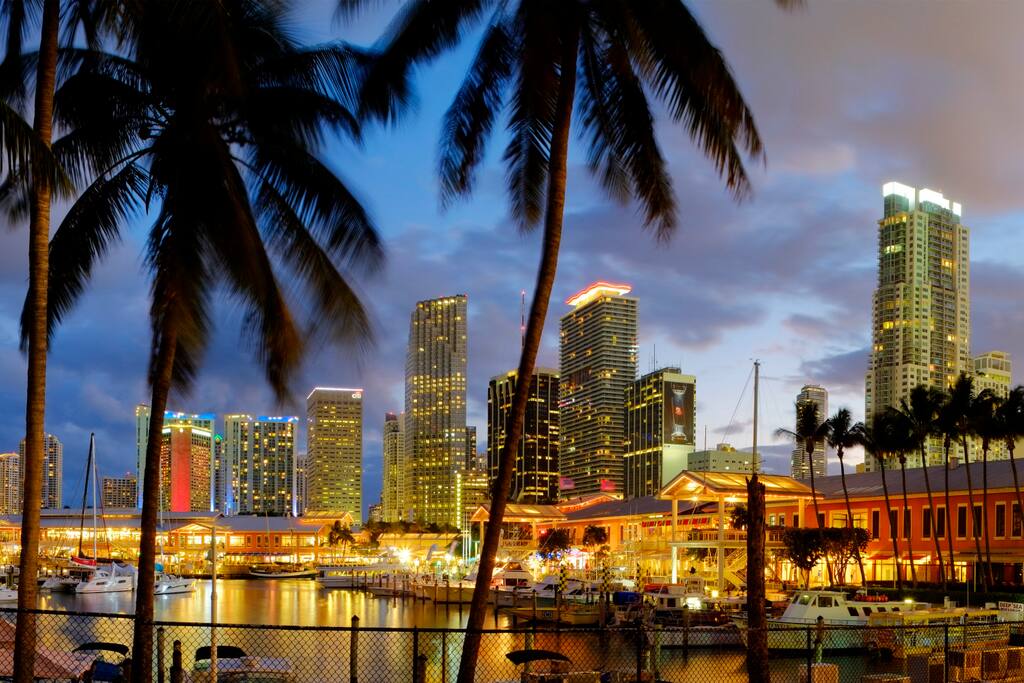 Hypnotic Miami Skyline