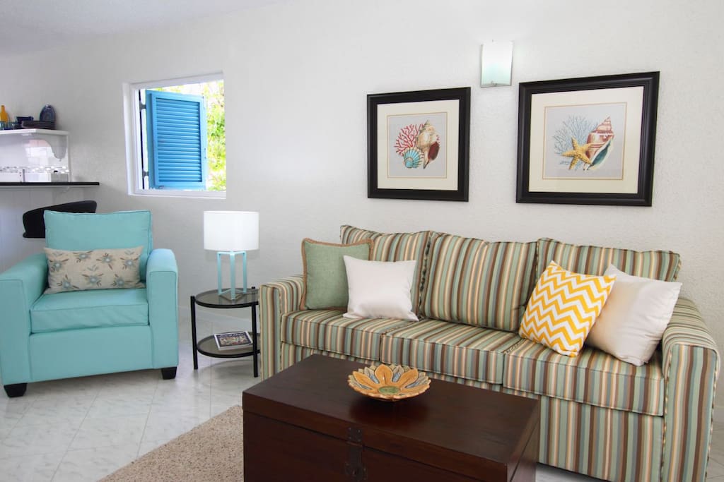 Living room with pull-out sofa bed