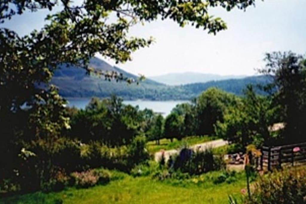 View from the terrace
