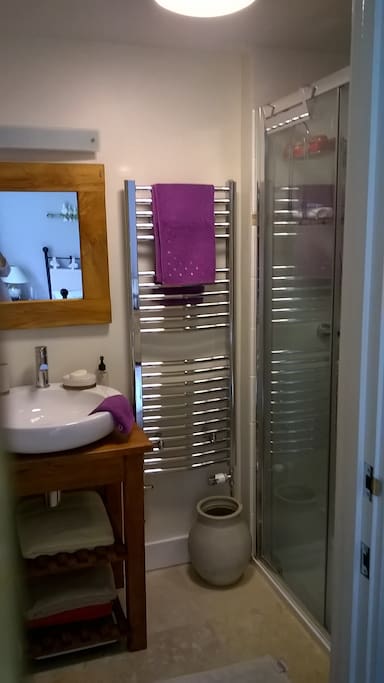 En-suite with toilet, basin, and large shower