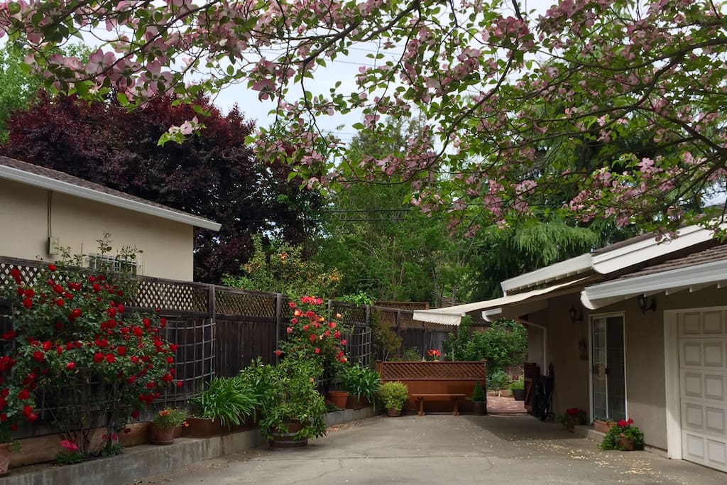 Spring was beautiful with the roses and dogwood blooming. The awning provides shaded parking.