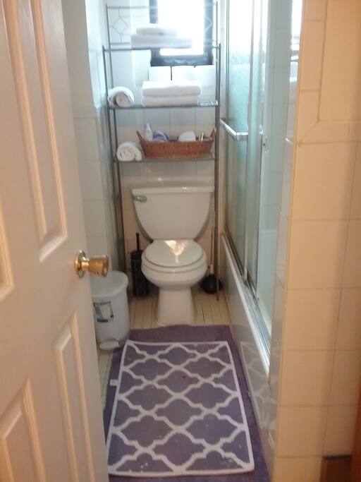 Toilet and shower