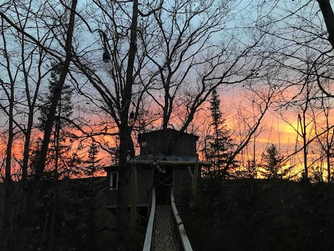 A Birds Eye View Tree House
