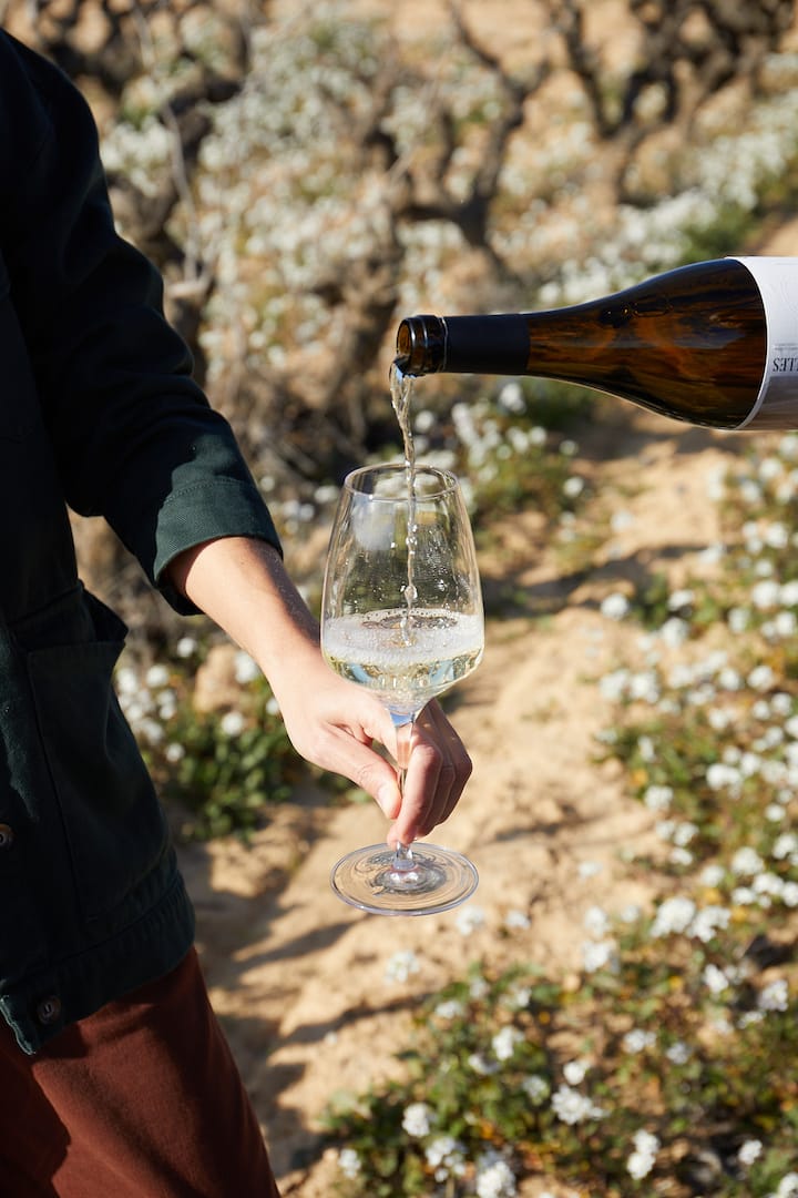 Winery in Catalonia (Spain)