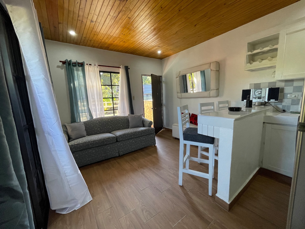 A cozy living space showcases a gray sofa complemented by soft throw pillows. A small dining area with white chairs and a table is visible near a compact kitchen. Natural light floods the room through large windows, enhancing the wooden ceiling.