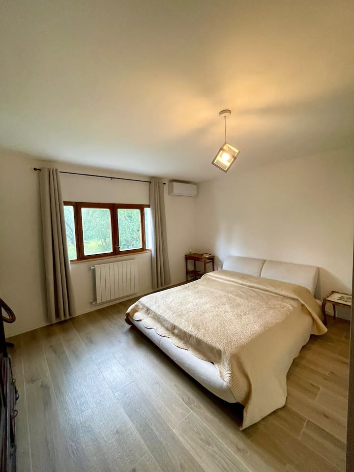 Habitación 1