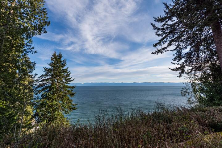 Sugar Bear Cove–10 acres of beachfront property gallery image 5