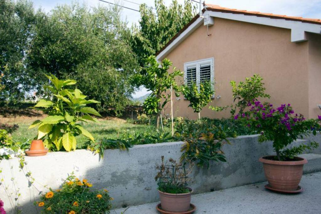 Outside view