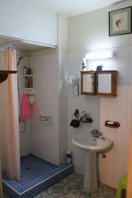 Shower Room upstairs