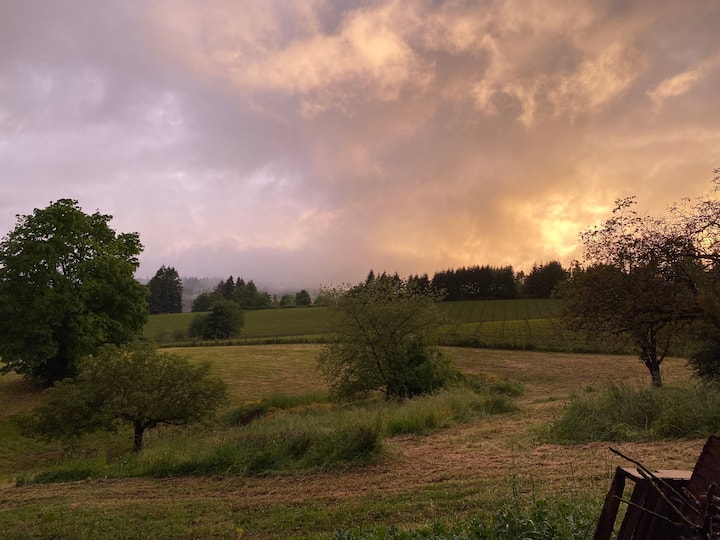 Stay at Worden Hill Farm and walk to wineries Farm stays for Rent in