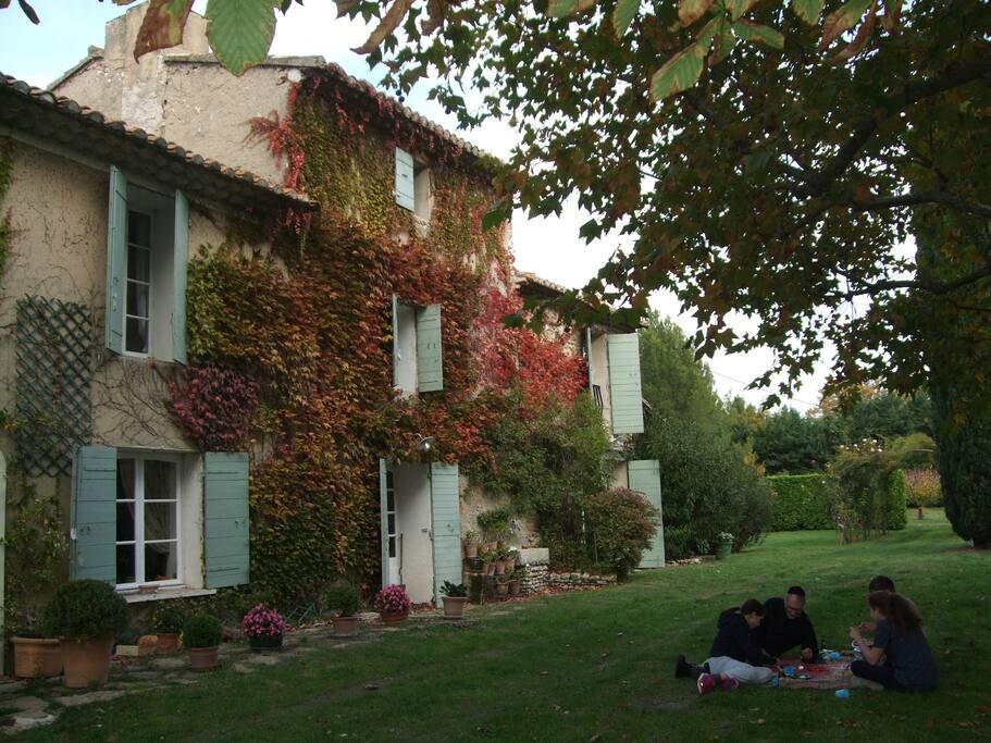 Le platane ombrage la maison