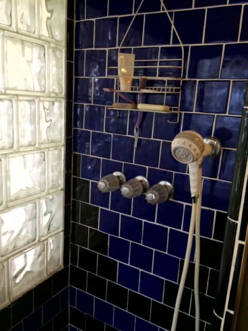 Spacious cool blue shower with plenty of natural light!
