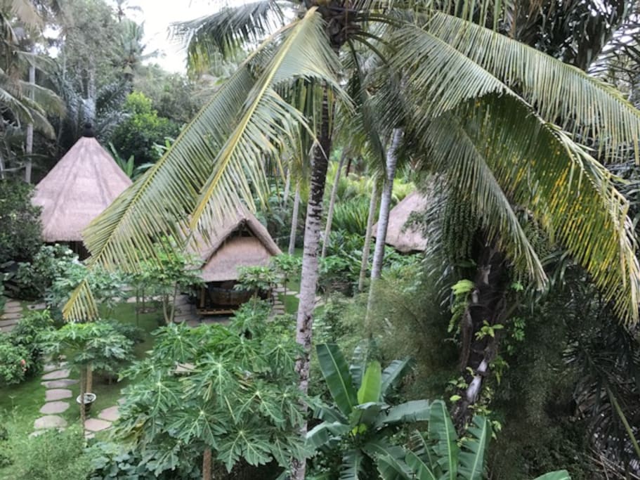 Elevated view of both Yurts, centred by lounge and dining space between them