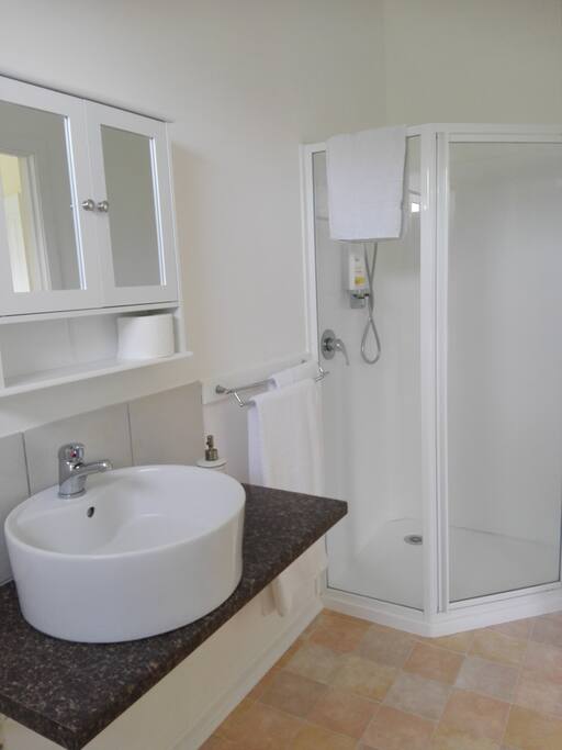 Kiwi Room bathroom