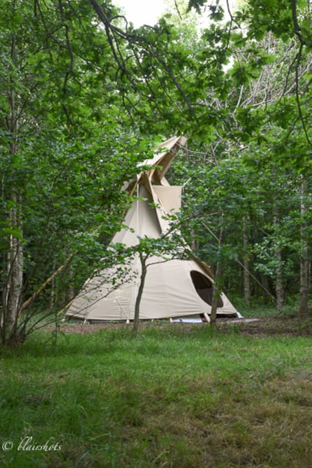 ...There is a wild and peaceful camping retreat... in your own beautiful wood...