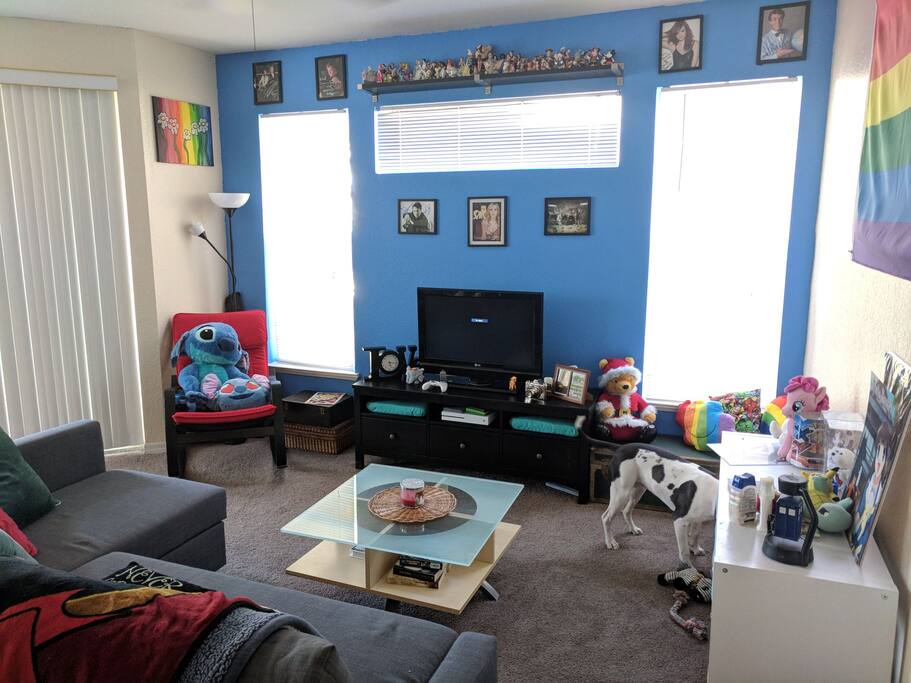 Updated living room pictured from the right hand side. On the left you can see that I have a screened-in patio. There is a nice chair set out there along with an outdoor dog bed and a small table with lighting for the night.