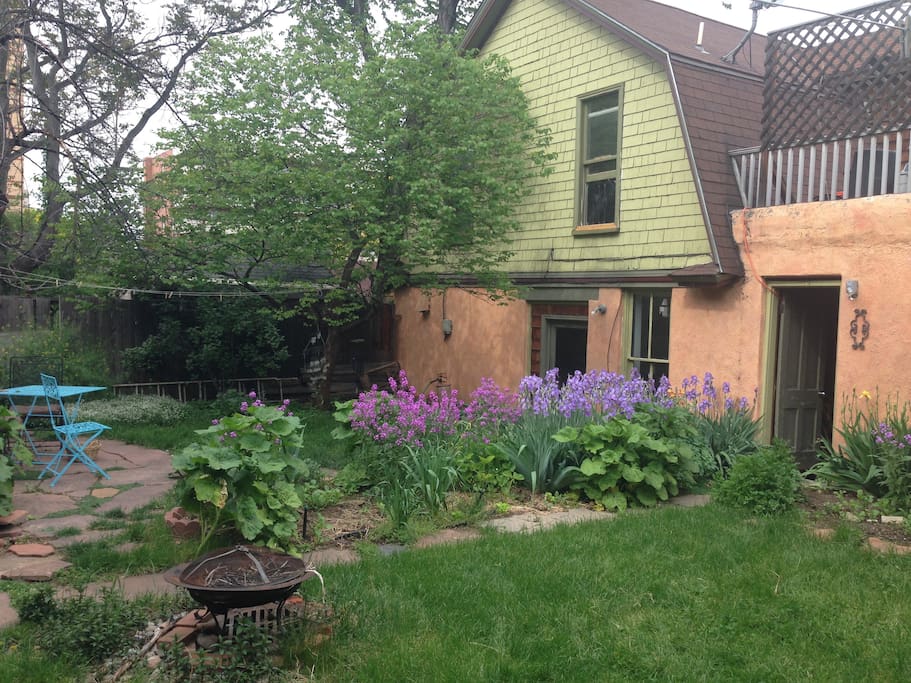 The garden is beautiful right now. A pleasant place to hang out
