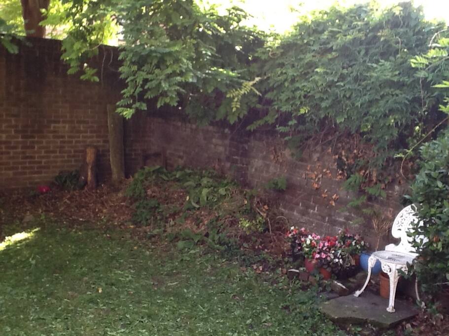 The garden
