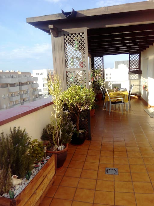 terraza con pergola , para relax .
