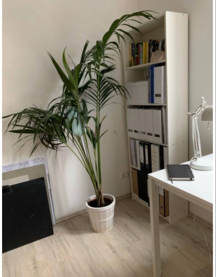 1 Helles Schlafzimmer Ca 7 Min Hbf Apartments For Rent In Dusseldorf Nrw Germany