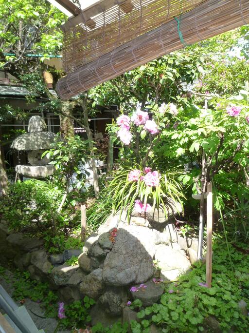 Japanese Garden(日本庭)