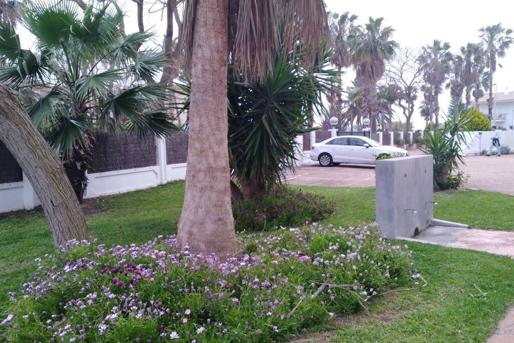 JARDÍN Y LAVAPLAYA