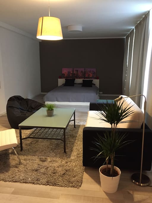 Living and bedroom
