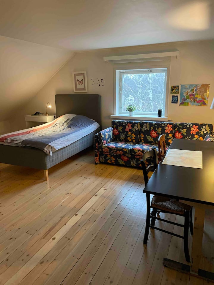 חדר שינה מס ': 4
120 ס"מ מיטה.

קומה 3.