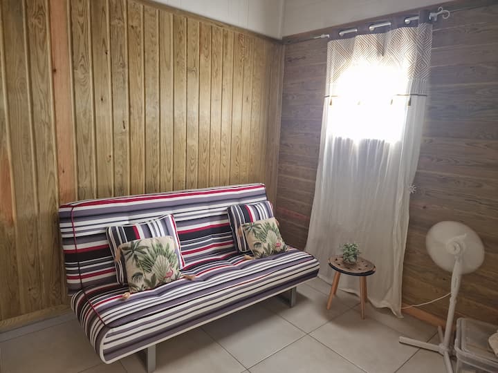 غرفة معيشة بسرير أريكة