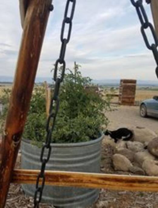 View of an outhouse