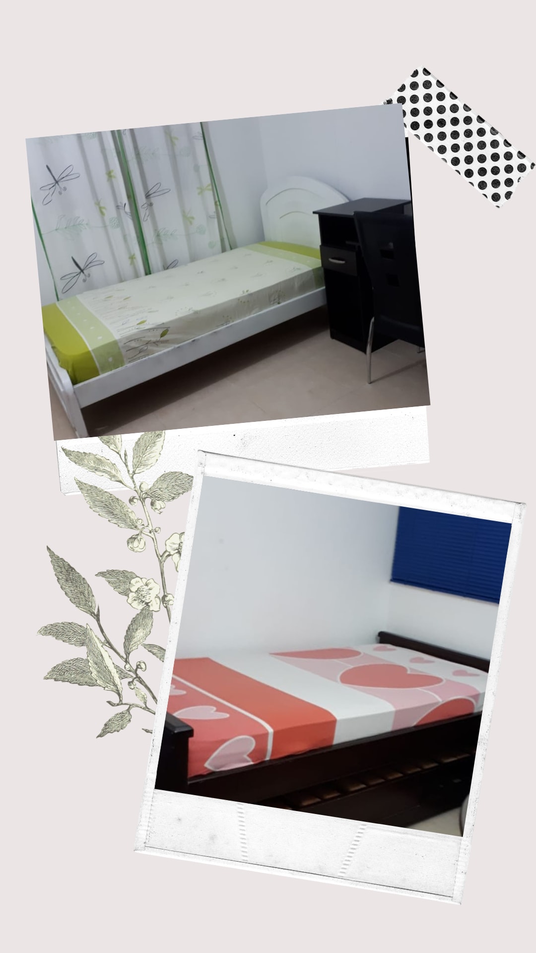 Two beds are visible, each adorned with distinct patterned linens. The bed on the top features a light-colored mattress with green and white designs, while the bed below showcases a red and white striped pattern. A nearby curtain adds a touch of natural decor.