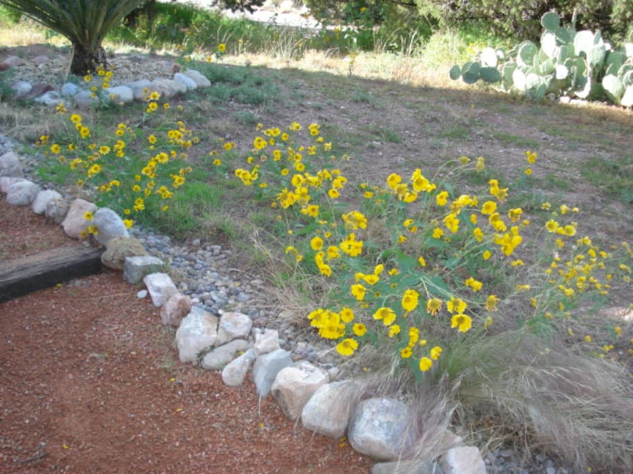Summer blossoms