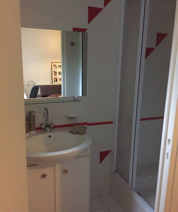 La SDE privative pour la chambre . Elle n est pas très grande mais fonctionnelle assurément ;-)