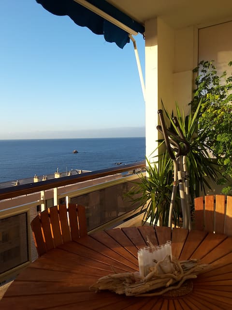 Top performing Airbnb: Large F1 exceptional sea view in Ajaccio