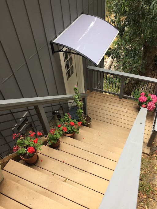 Front steps and deck