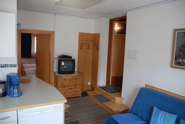 Მისაღები ოთახი გასაშლელი დივნით