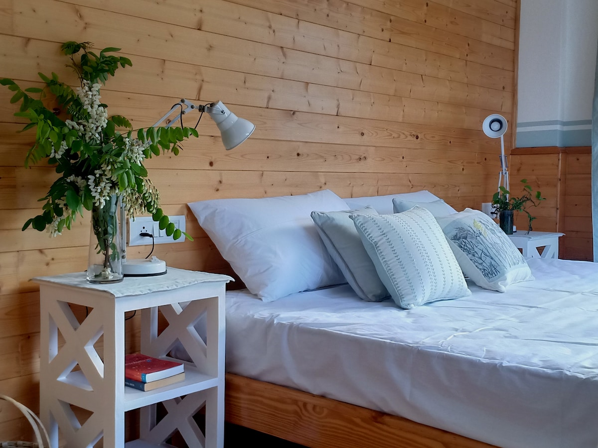 A cozy bedroom features wooden paneling and a spacious bed adorned with soft pillows. Side tables are positioned on either side, each hosting a lamp and a small plant. A touch of greenery adds a refreshing element to the serene atmosphere.