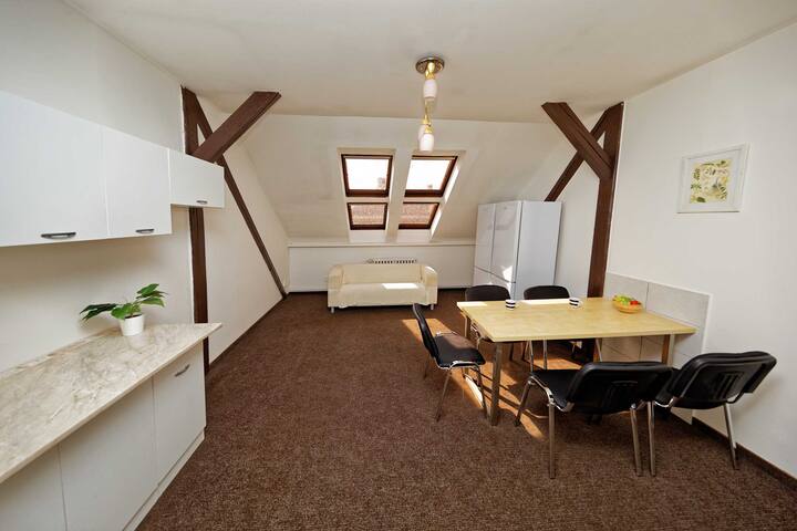 Loft Apartm At IP.Pavlova with 9 bedrs and 3 baths gallery image 2