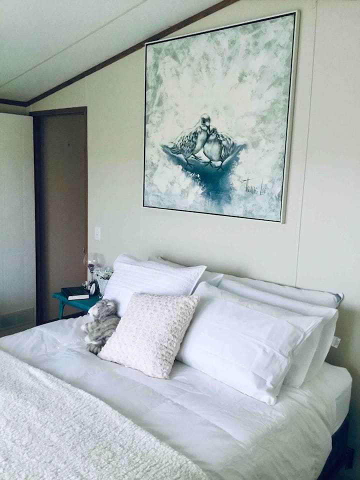 Le stelle brillano dalle finestre a golfo della seconda camera da letto matrimoniale.