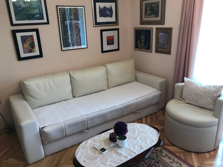 Sitting area with a sofa that can be pulled out as a 2 person bed.