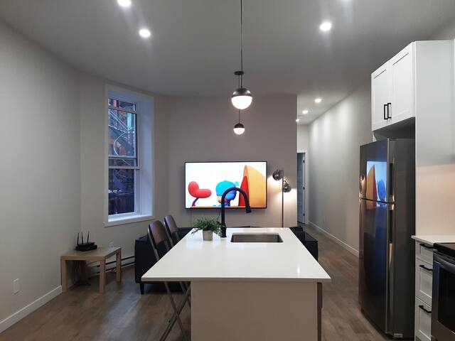 Deluxe large 1-5 bedrooms downtown apt near metro- gallery image 5