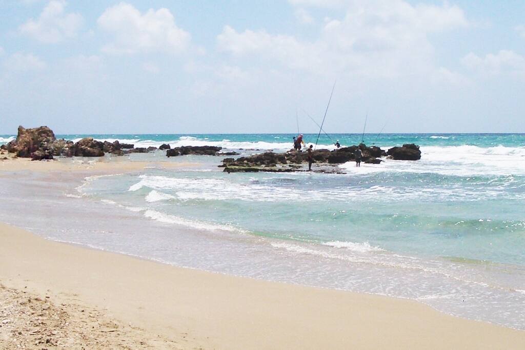 Our beach
