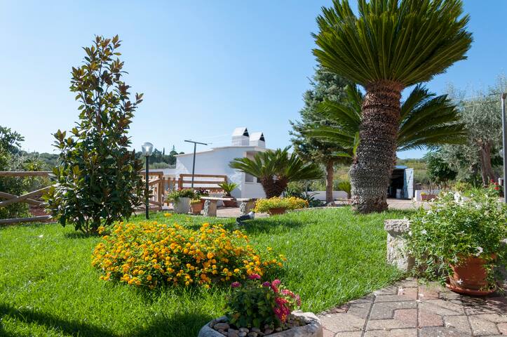 Villa in Puglia for 16 guests in eight bedrooms gallery image 5