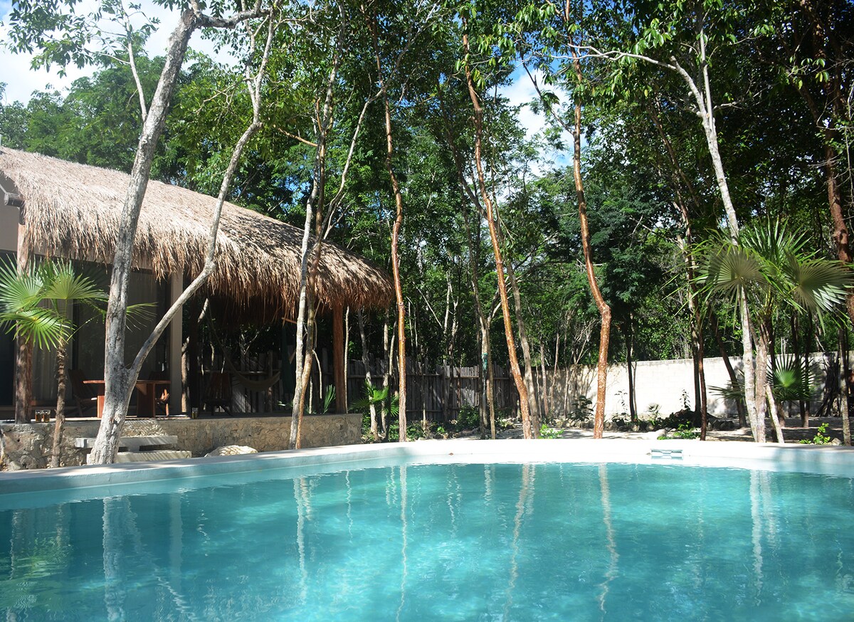A swimming pool is surrounded by lush greenery and trees, with sunlight reflecting off the water's surface. A thatched-roof structure is visible in the background, enhancing the natural setting.