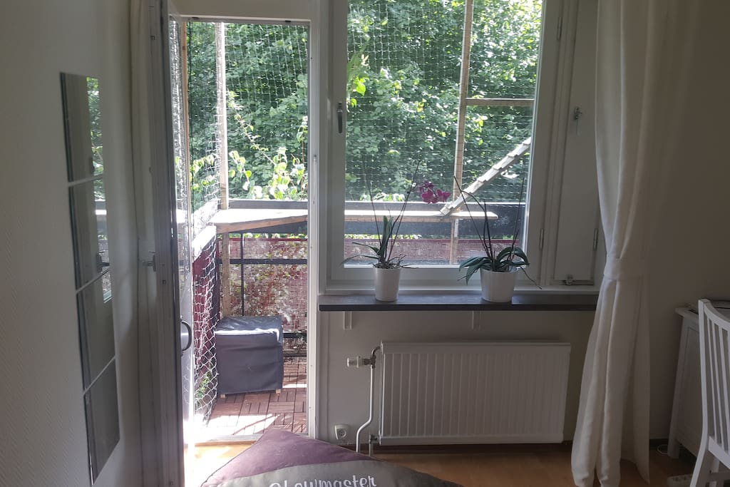 Host's bedroom and balcony