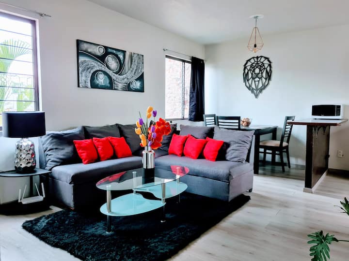 Country APARTMENT, A.telmex , PLAZAS , Hpt , and private Apartments