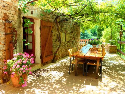 Beautiful stone farmhouse with pool and nature view